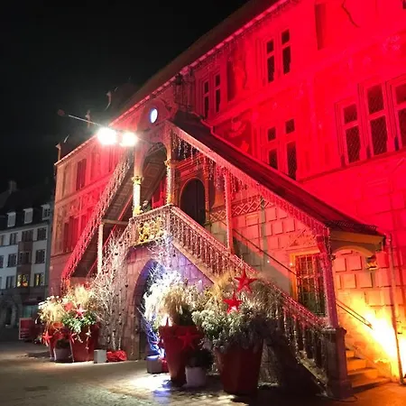 Calme Lumineux Spacieux Accueillant Mulhouse Buitenkant foto