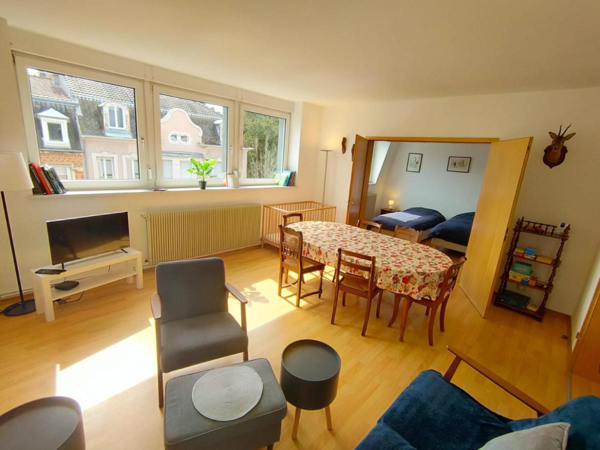 Calme Lumineux Spacieux Accueillant Apartment Mulhouse